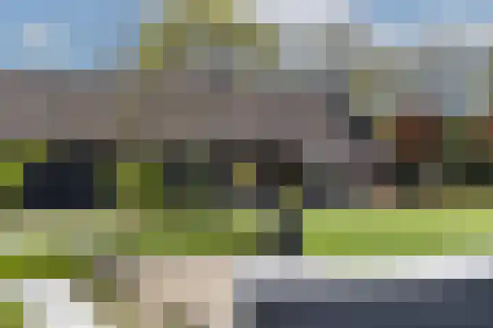 Hogeveldsweg 8 Deurningen thumbnail 60