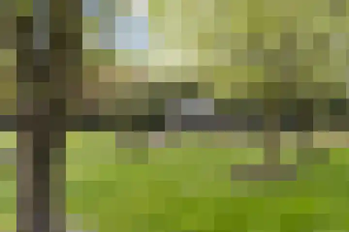 Hogeveldsweg 8 Deurningen thumbnail 61
