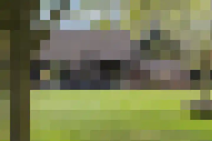 Hogeveldsweg 8 Deurningen thumbnail 62
