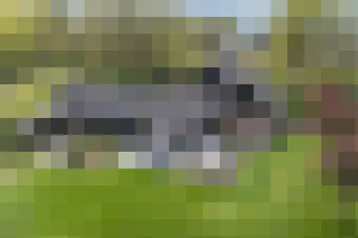 Hogeveldsweg 8 Deurningen thumbnail 64