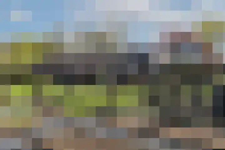 Hogeveldsweg 8 Deurningen thumbnail 65