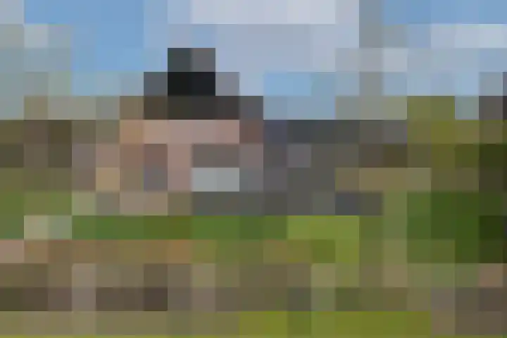 Hogeveldsweg 8 Deurningen thumbnail 7