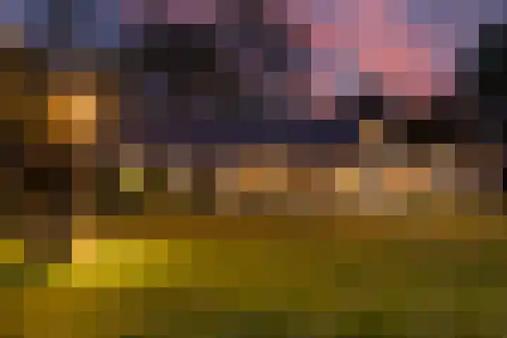 Hogeveldsweg 8 Deurningen thumbnail 73