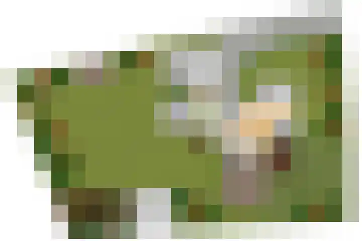 Hogeveldsweg 8 Deurningen thumbnail 79