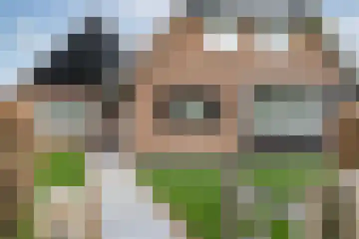 Hogeveldsweg 8 Deurningen thumbnail 9