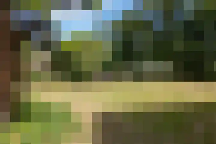 Hogeveldweg 111 Enschede thumbnail 7