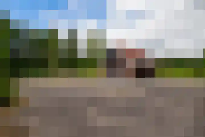 Hogeveldweg 111 Enschede thumbnail 9