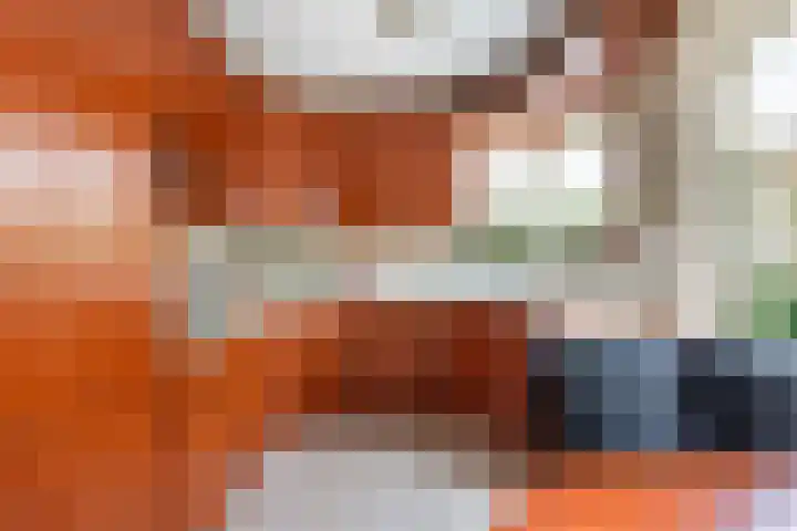 Hogewal 10 Ermelo thumbnail 14