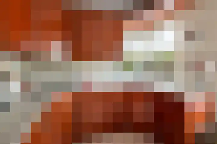 Hogewal 10 Ermelo thumbnail 15