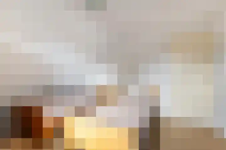 Hogewal 10 Ermelo thumbnail 29