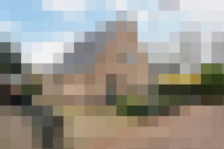 Hogewal 10 Ermelo thumbnail 4
