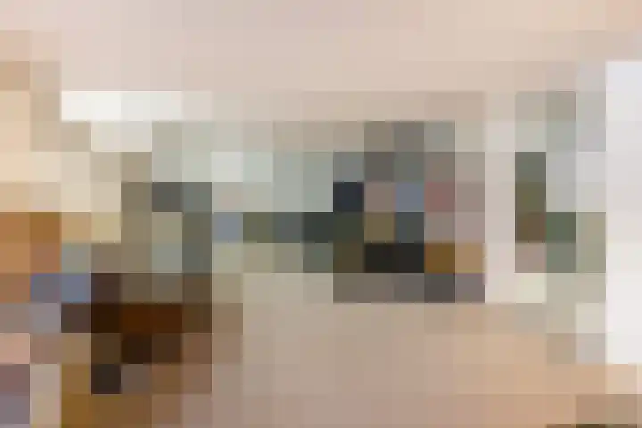 Hogewal 10 Ermelo thumbnail 41
