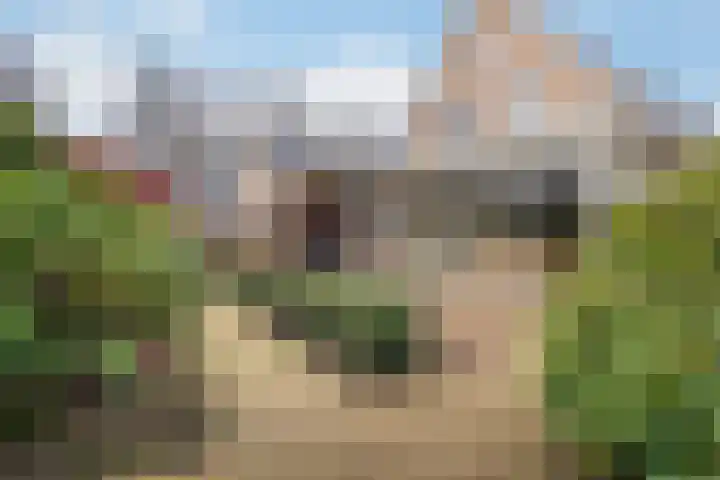 Hogewal 10 Ermelo thumbnail 43