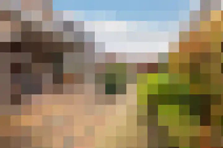 Hogewal 10 Ermelo thumbnail 44
