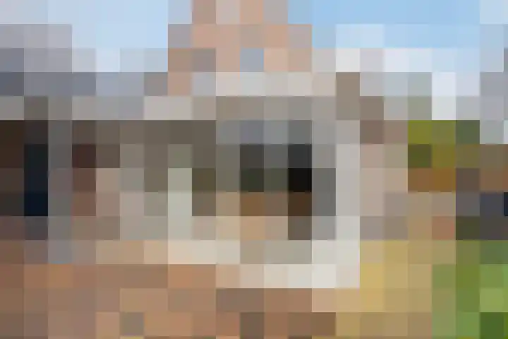 Hogewal 10 Ermelo thumbnail 48