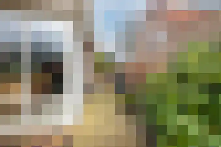 Hogewal 10 Ermelo thumbnail 49