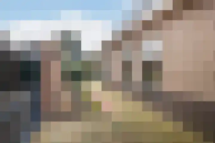Hogewal 10 Ermelo thumbnail 50