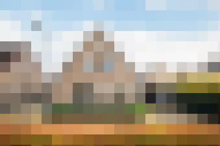 Hogewal 10 Ermelo thumbnail 52