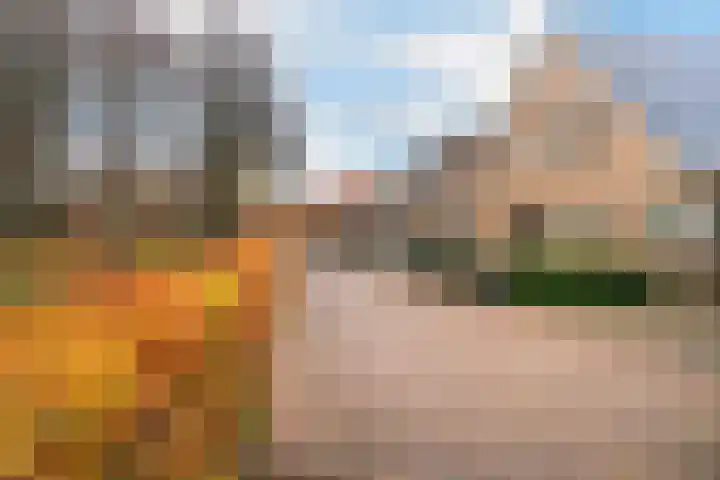 Hogewal 10 Ermelo thumbnail 54