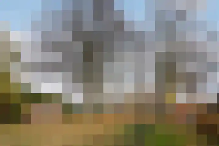 Hogewal 10 Ermelo thumbnail 55