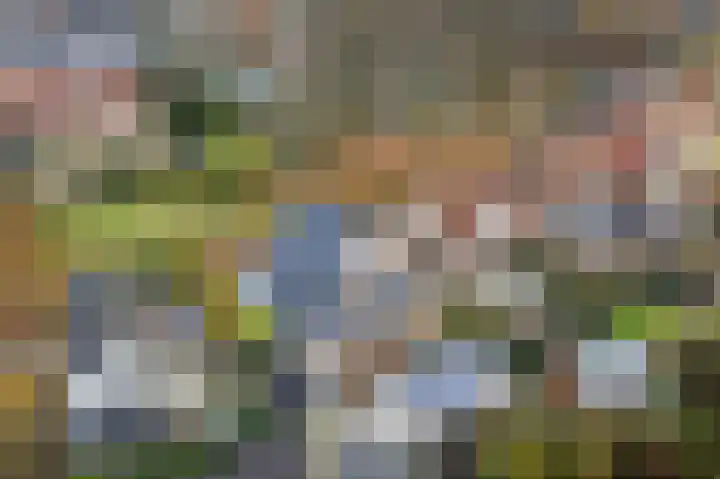 Hogewal 10 Ermelo thumbnail 58