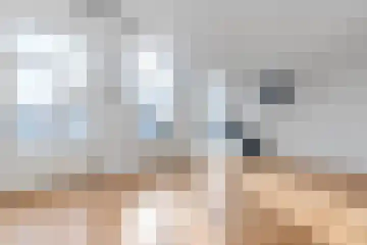 Hogewal 14 Den Haag thumbnail 5