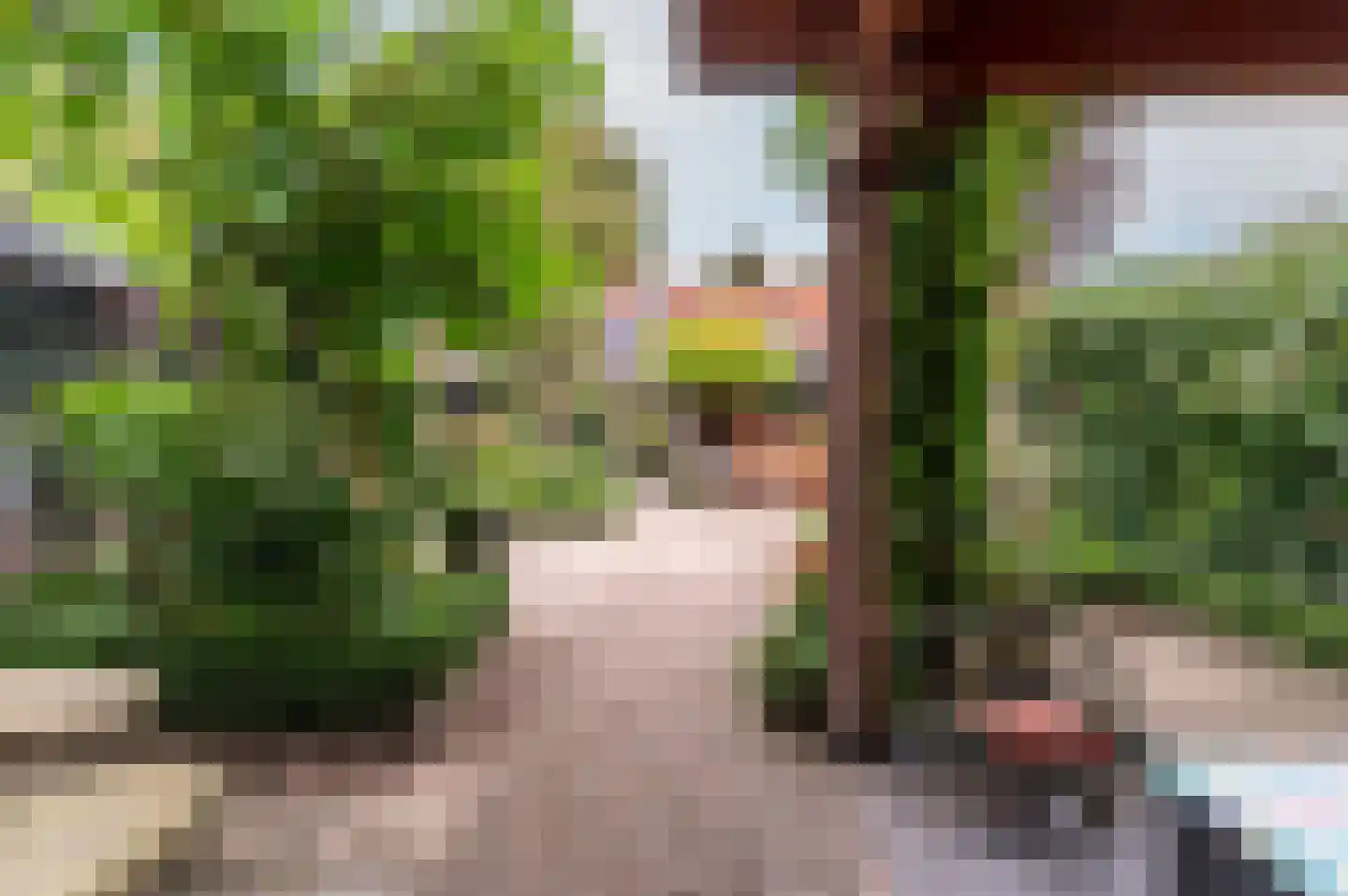 Hogewal 22 Ermelo thumbnail 12