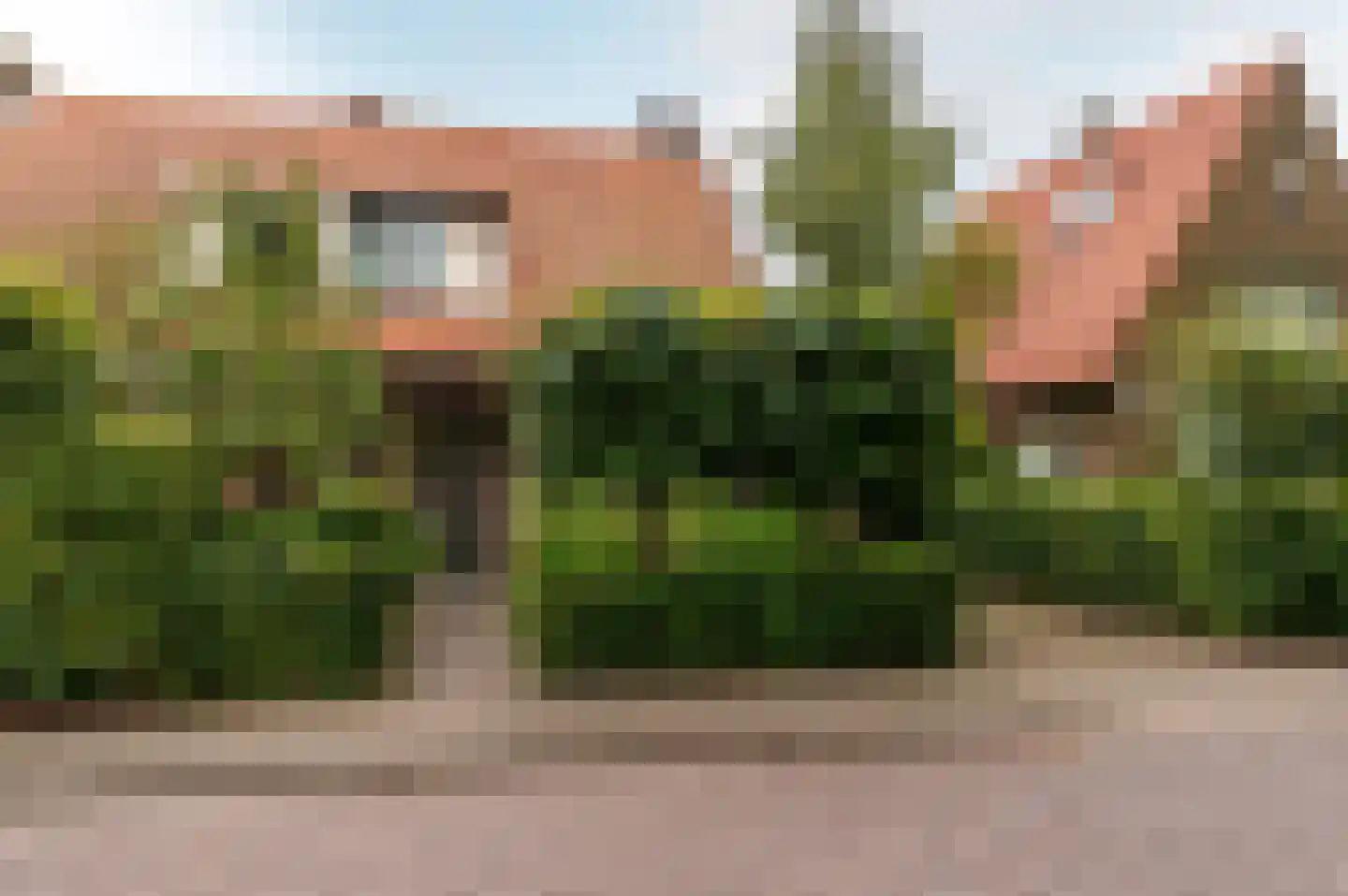 Hogewal 22 Ermelo thumbnail 13