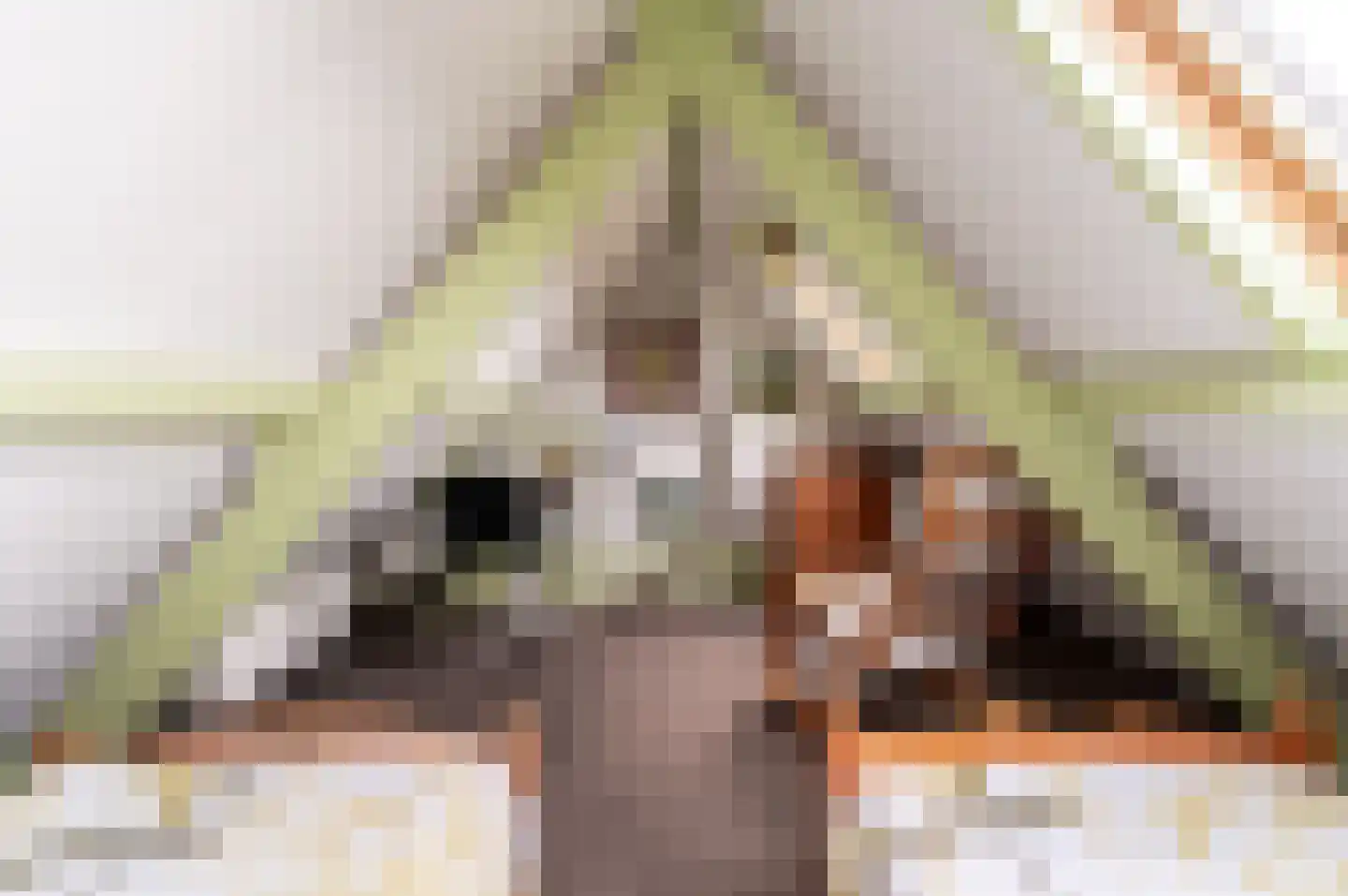 Hogewal 22 Ermelo thumbnail 39