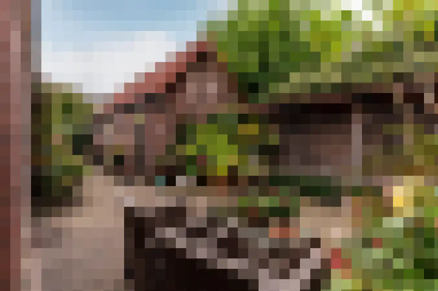 Hogewal 22 Ermelo thumbnail 44