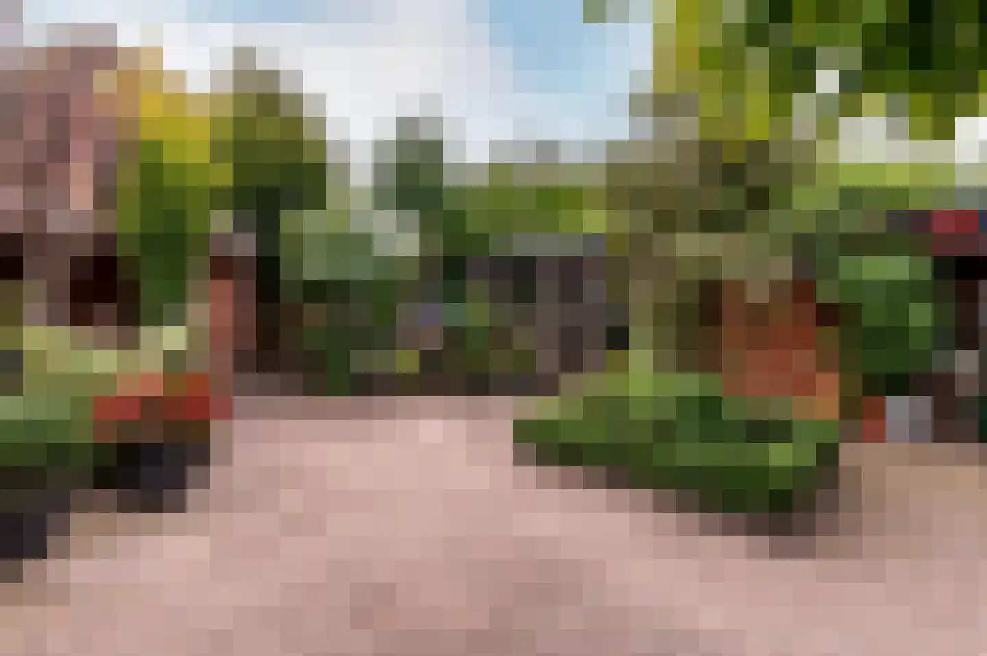 Hogewal 22 Ermelo thumbnail 52