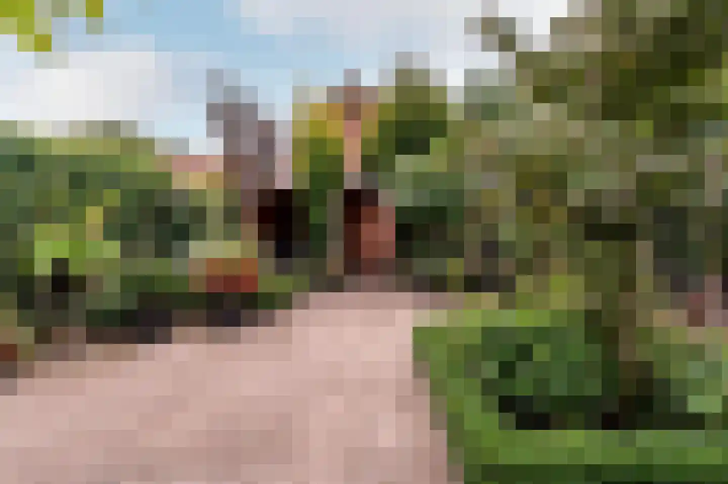 Hogewal 22 Ermelo thumbnail 53