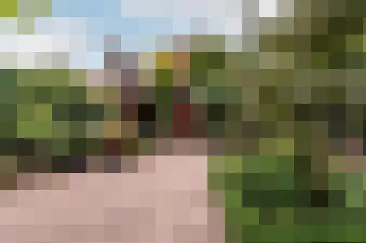 Hogewal 22 Ermelo thumbnail 53
