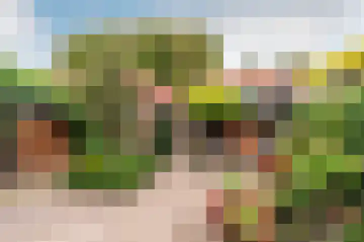 Hogewal 22 Ermelo thumbnail 54