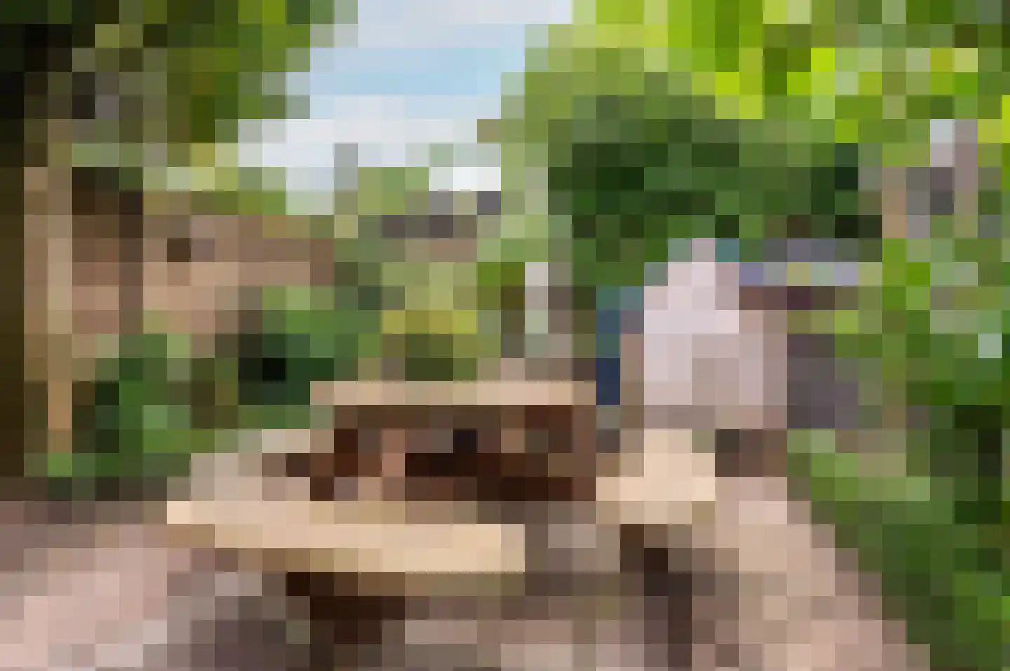 Hogewal 22 Ermelo thumbnail 56