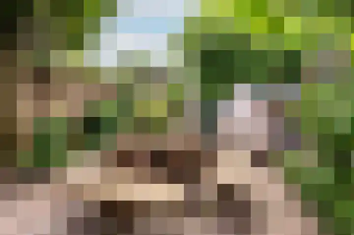 Hogewal 22 Ermelo thumbnail 56