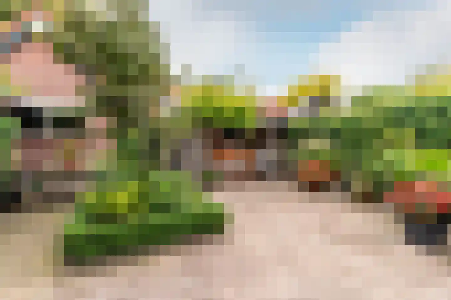 Hogewal 22 Ermelo thumbnail 59