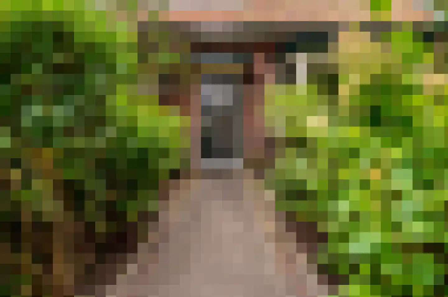 Hogewal 22 Ermelo thumbnail 62