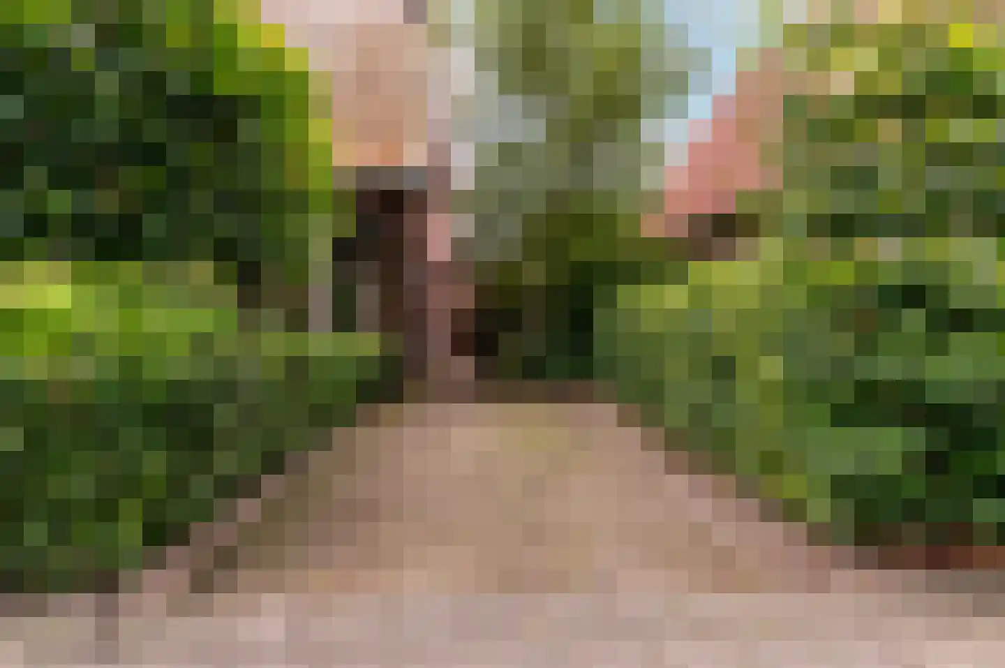 Hogewal 22 Ermelo thumbnail 63