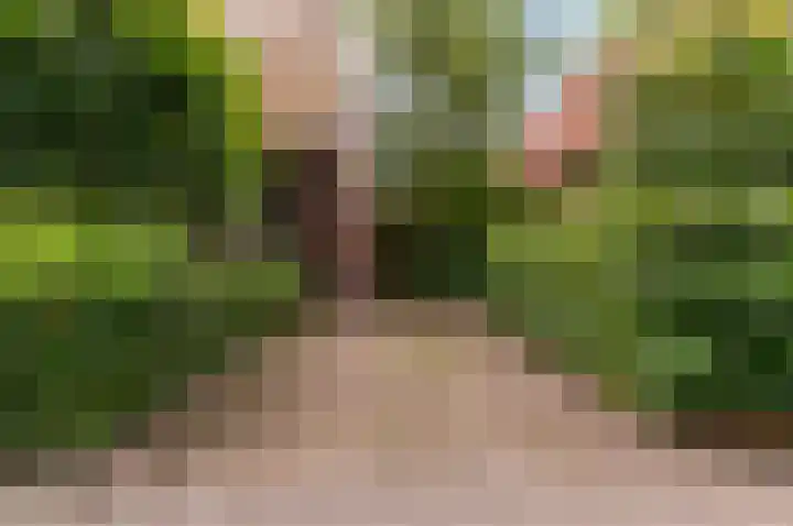 Hogewal 22 Ermelo thumbnail 63