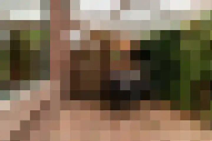 Hogewal 22 Ermelo thumbnail 64