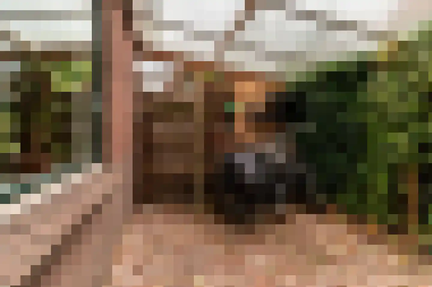 Hogewal 22 Ermelo thumbnail 64