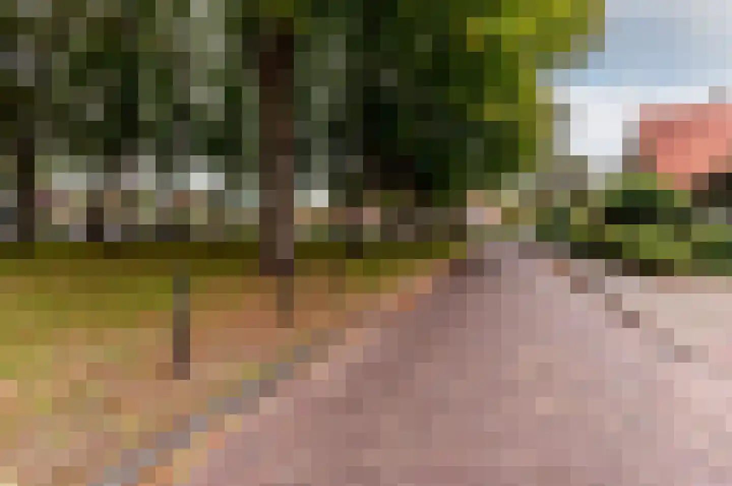 Hogewal 22 Ermelo thumbnail 65