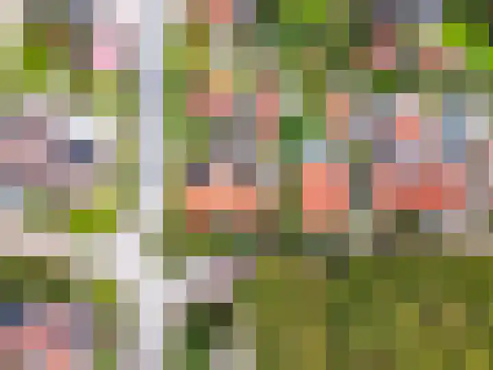Hogewal 22 Ermelo thumbnail 67