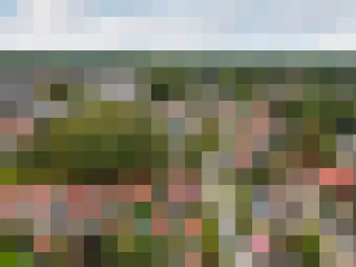 Hogewal 22 Ermelo thumbnail 68