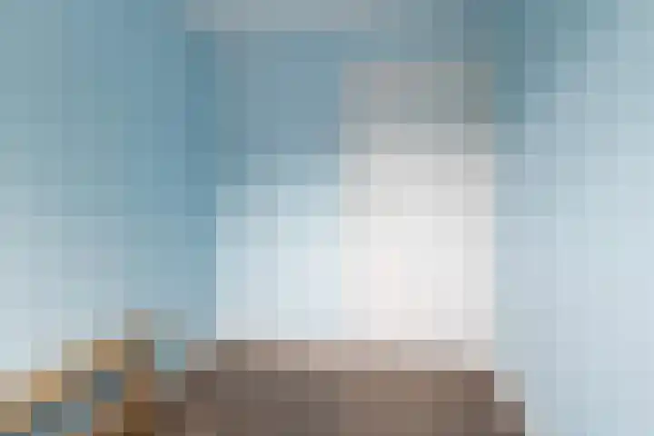 Hogewal 33 Ermelo thumbnail 24