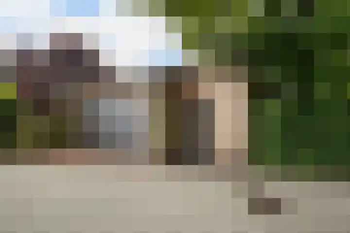 Hogewal 33 Ermelo thumbnail 4