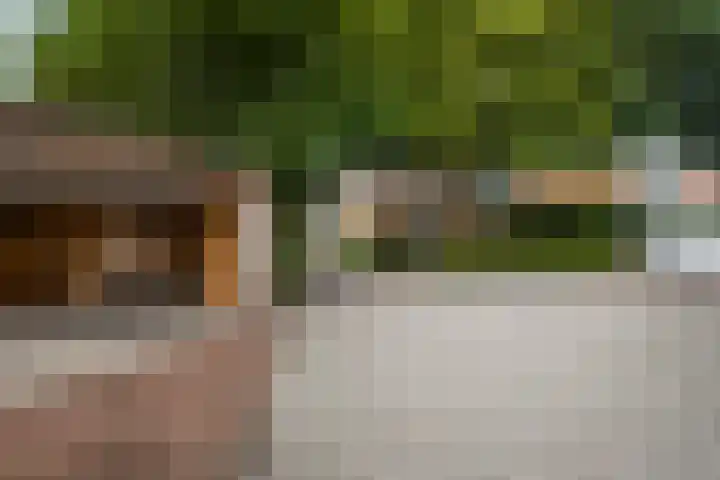Hogewal 33 Ermelo thumbnail 43