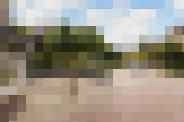 Hogewal 33 Ermelo thumbnail 46