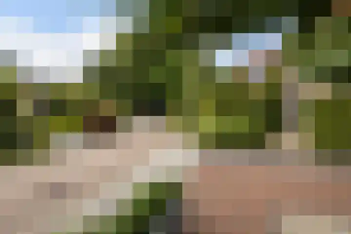 Hogewal 33 Ermelo thumbnail 47